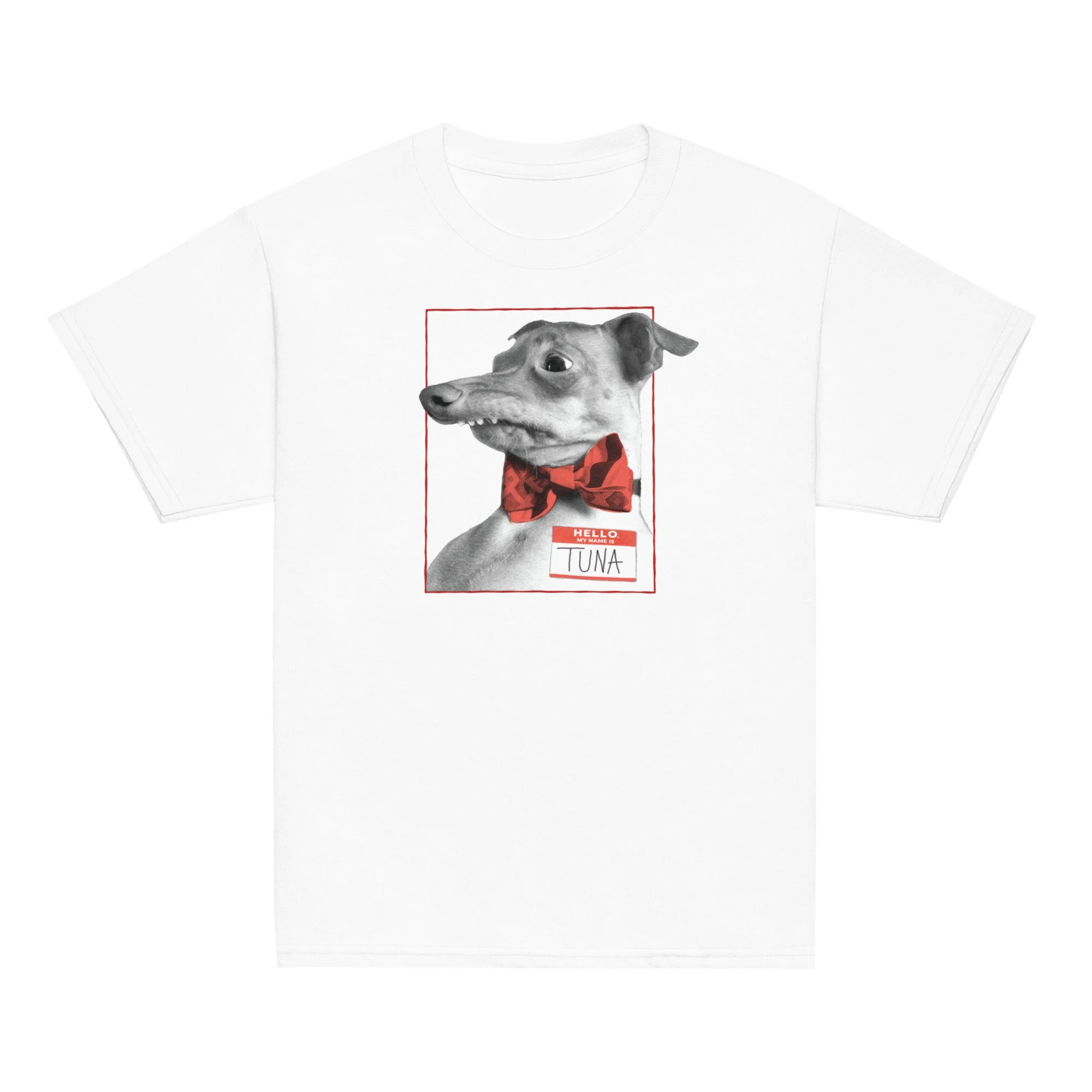 youth-classic-tee-white-front-6a2f67c874669.jpg