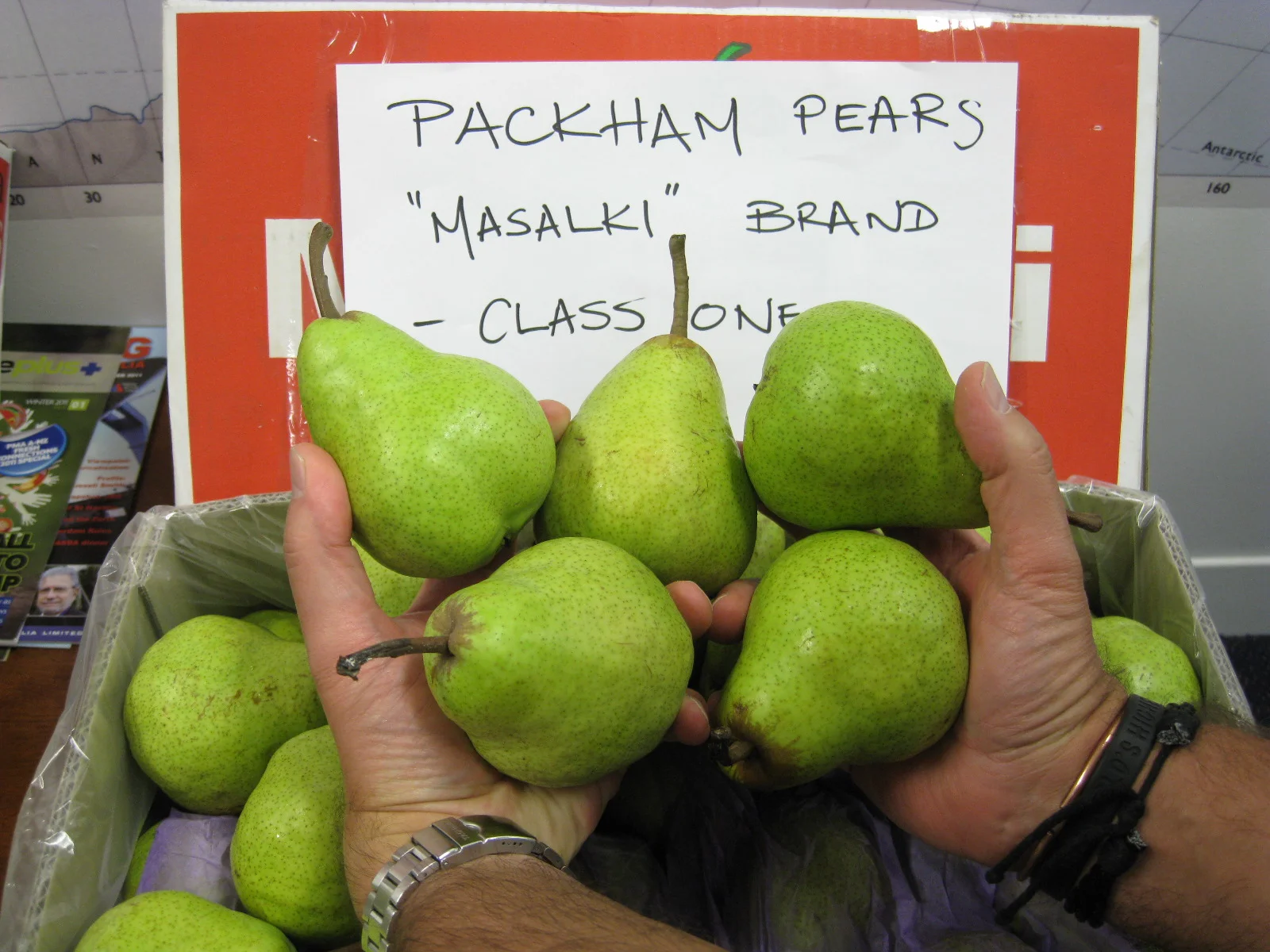 Masalki+Brand_3.JPG