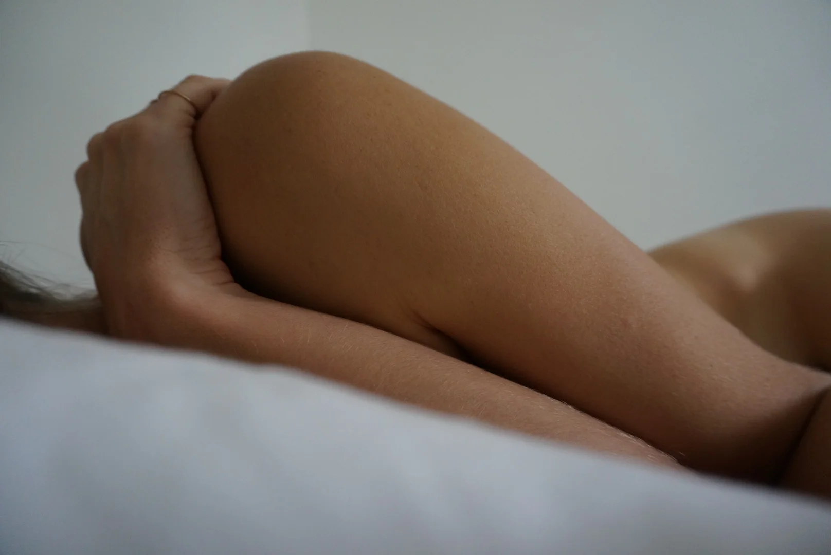 body4.jpg