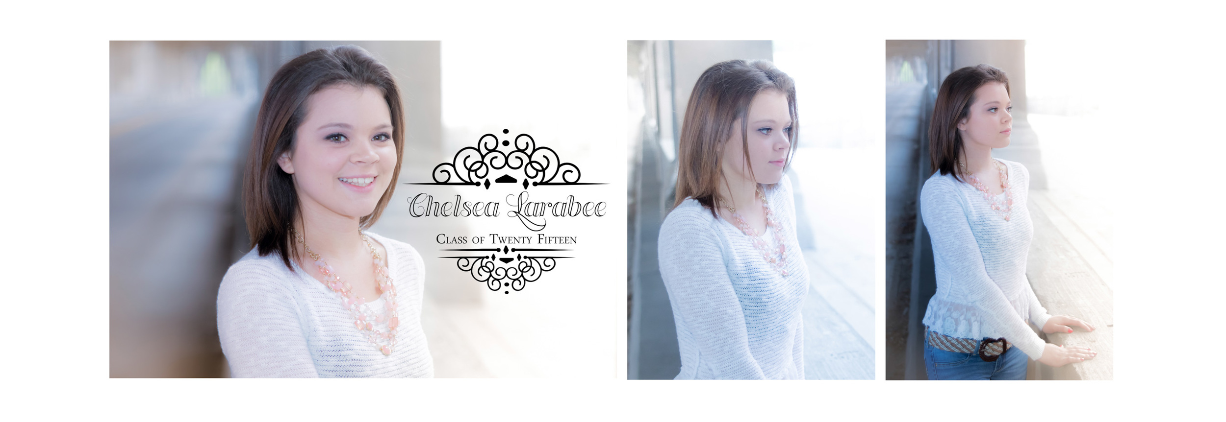 Chelsea Larabee Senior CatsEye Photography 2015 Banner 2.jpg