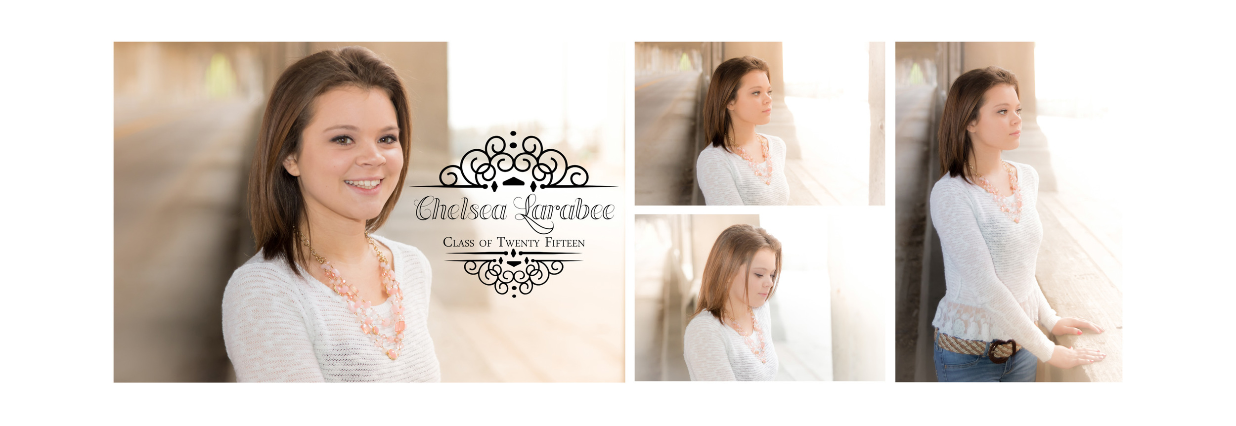 Chelsea Larabee Senior CatsEye Photography 2015 Banner 1.jpg
