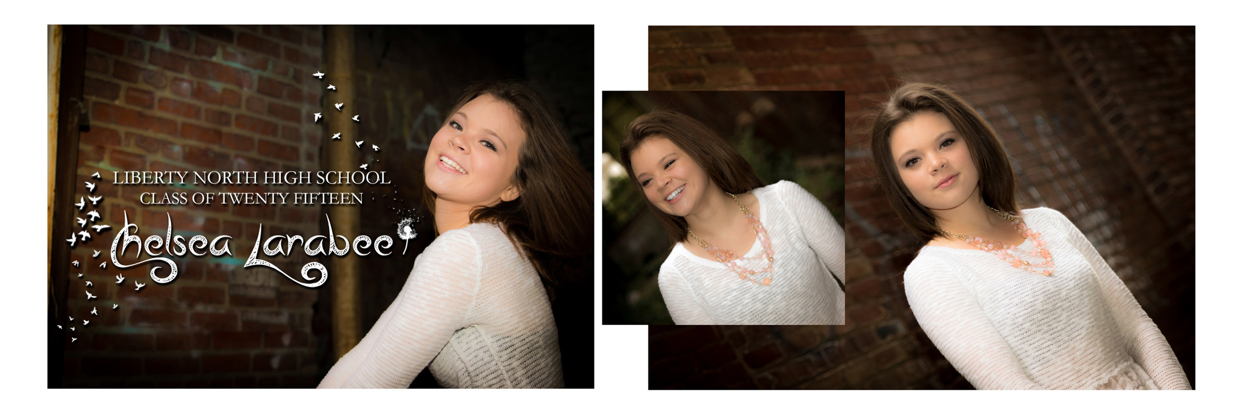 Chelsea Larabee Senior CatsEye Photography 2015 Banner 5.jpg