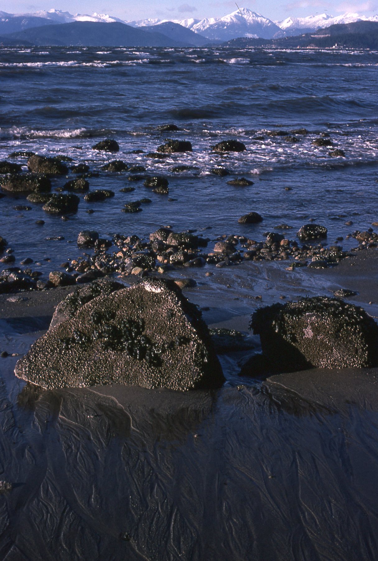 Wreck Beach, Vancouver