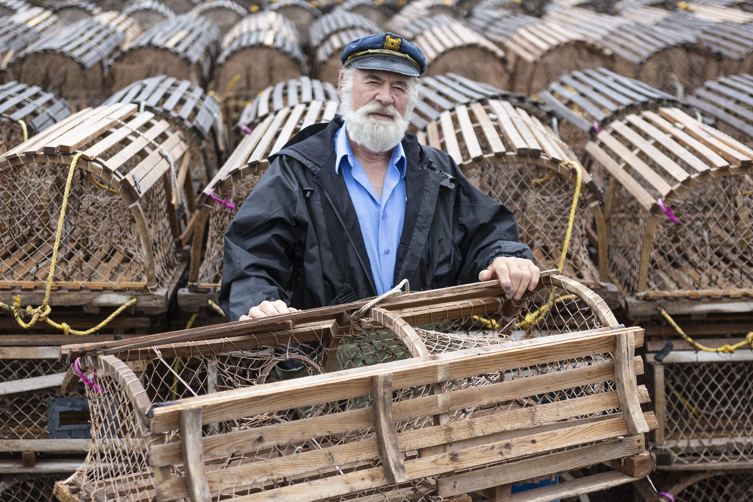 The Bearded Skipper