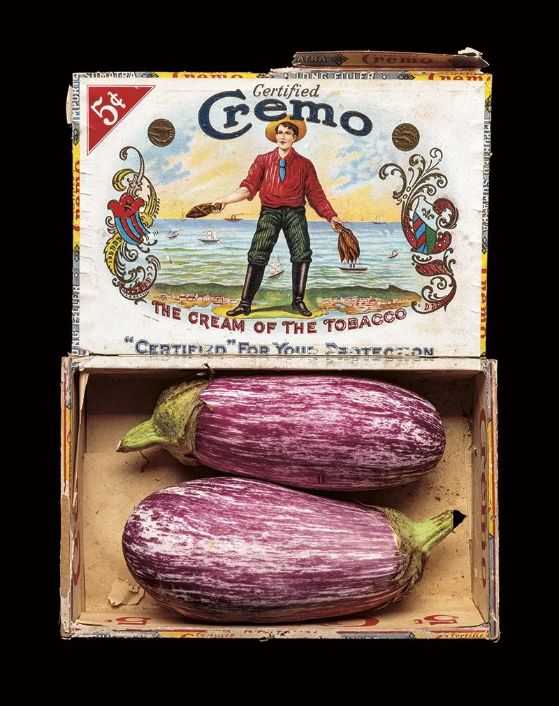 cremo.jpg