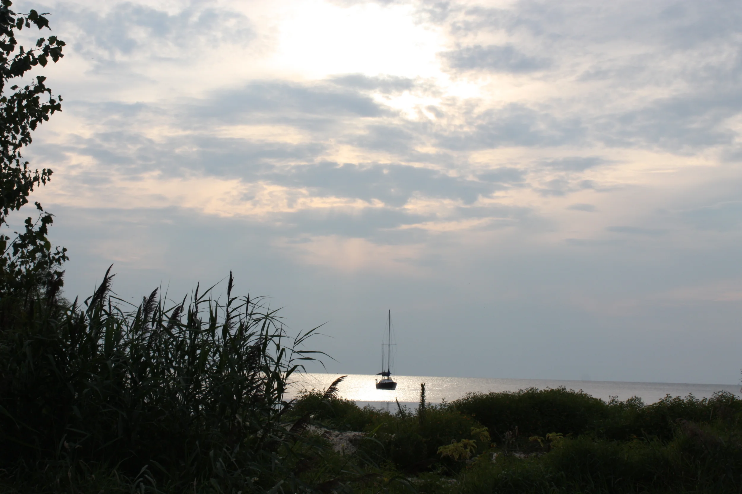 IMG_3269.JPG