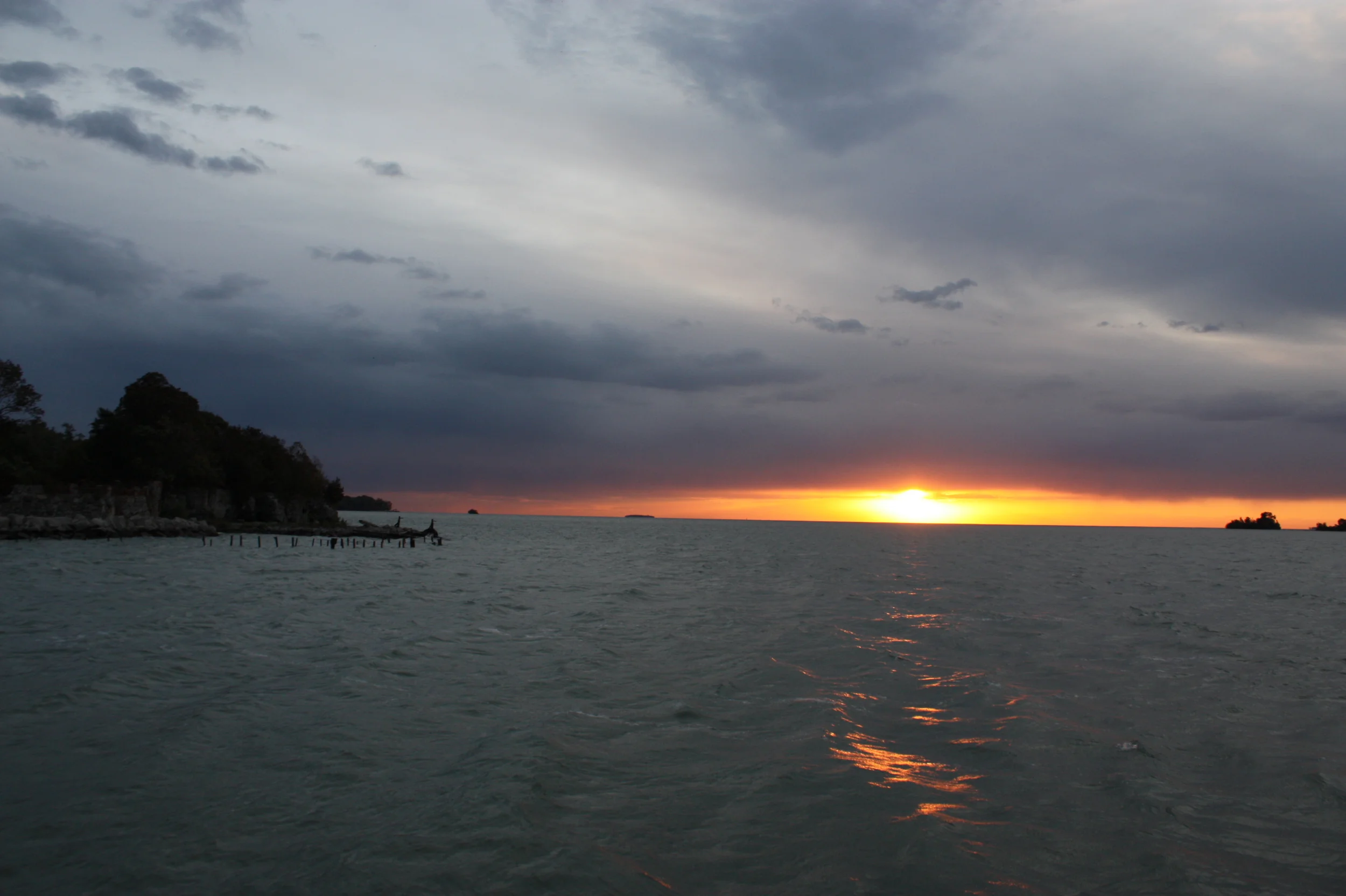 IMG_6021.JPG