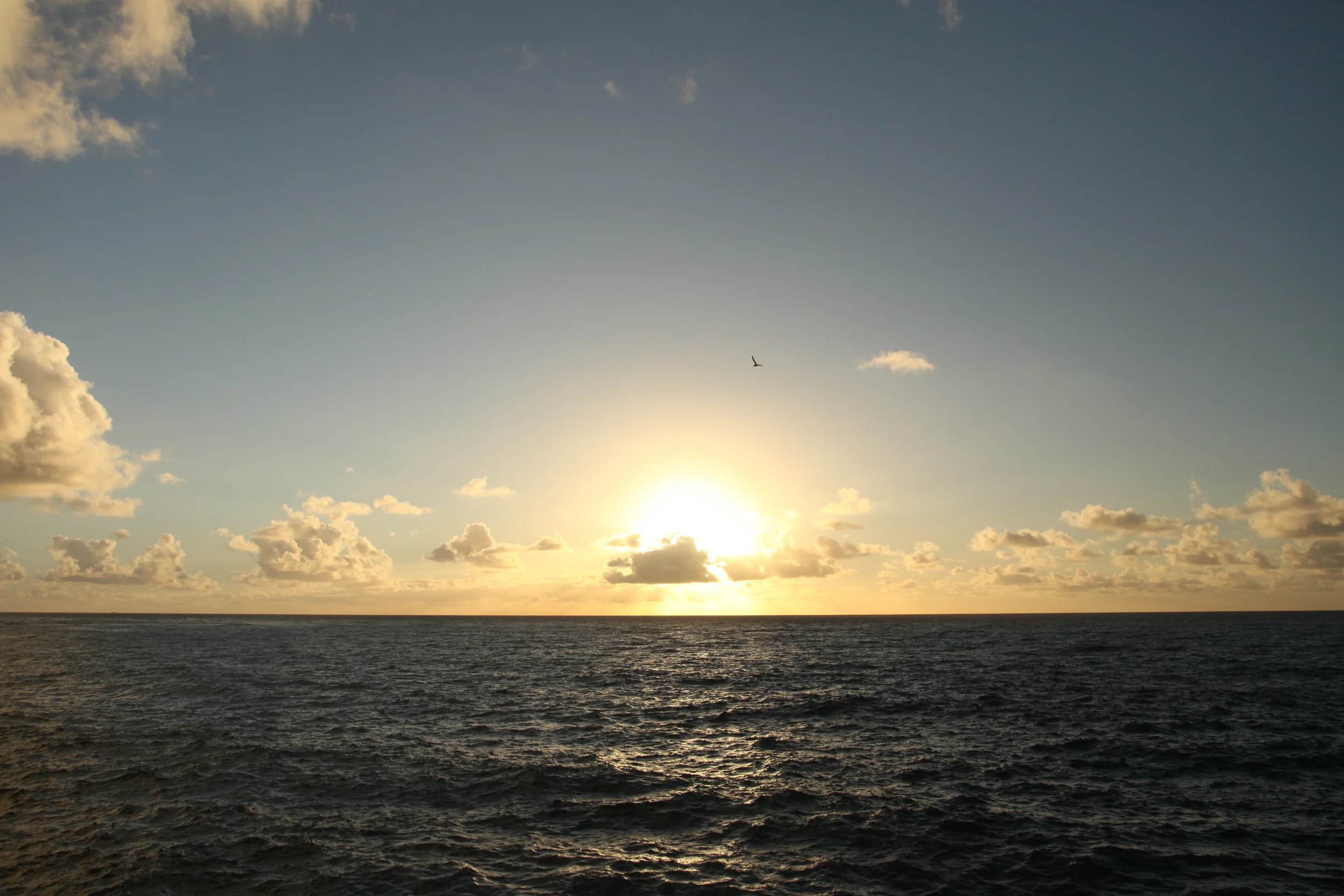 IMG_8572.jpg