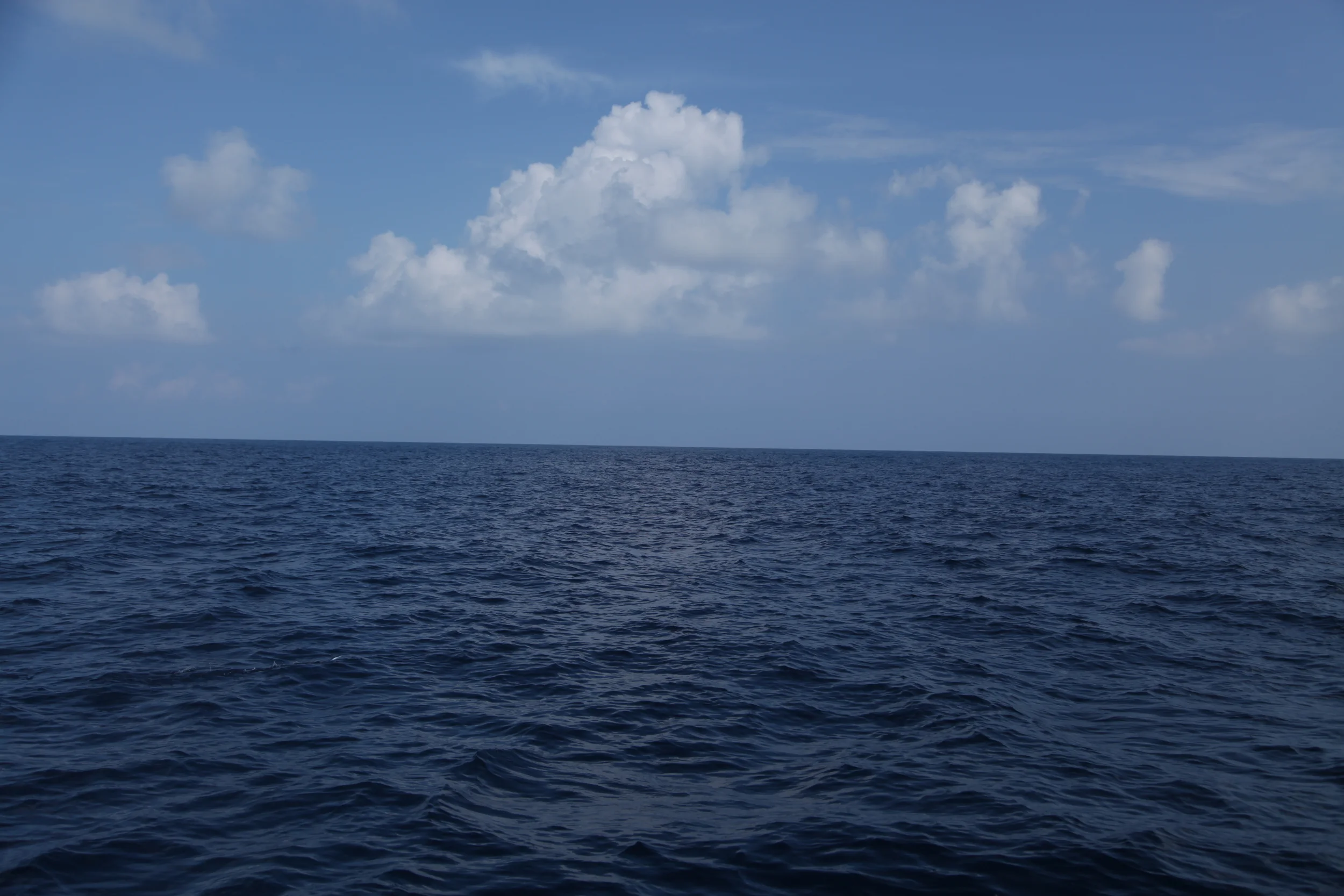 IMG_7604.jpg