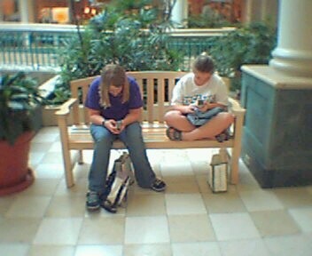 22620081541.jpg