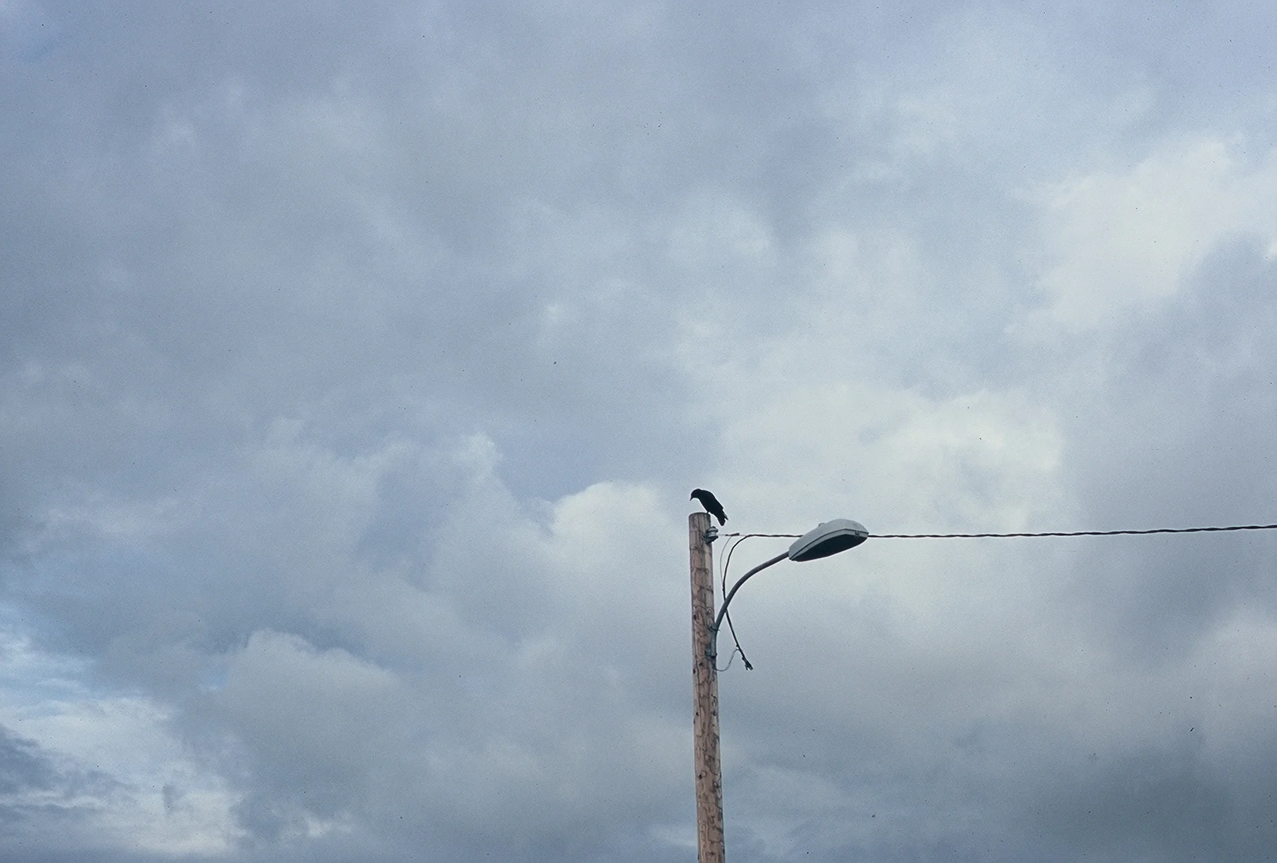 0489859-R1-E023.jpg