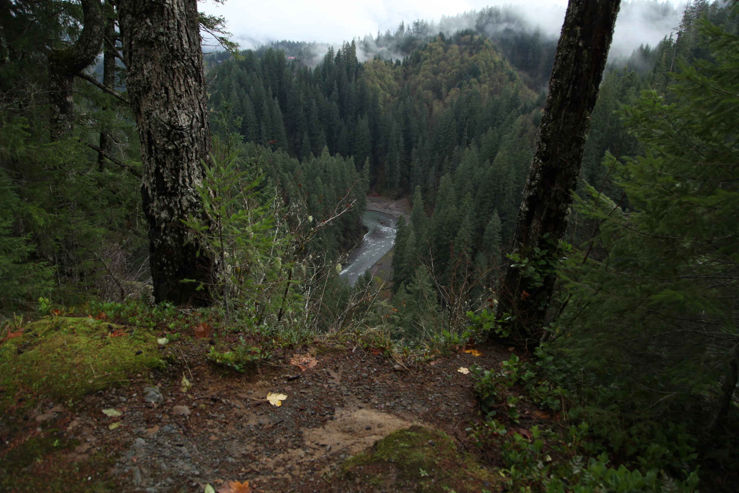 IMG_5872.JPG