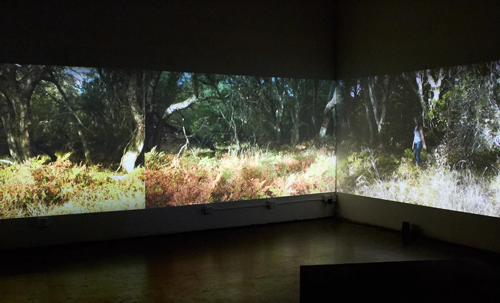 Marking(s), 2012