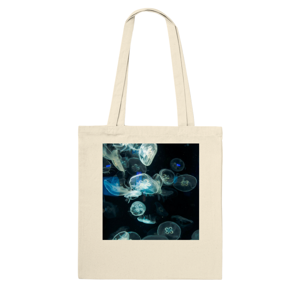 tmp-291-ECMsTwy34dOz