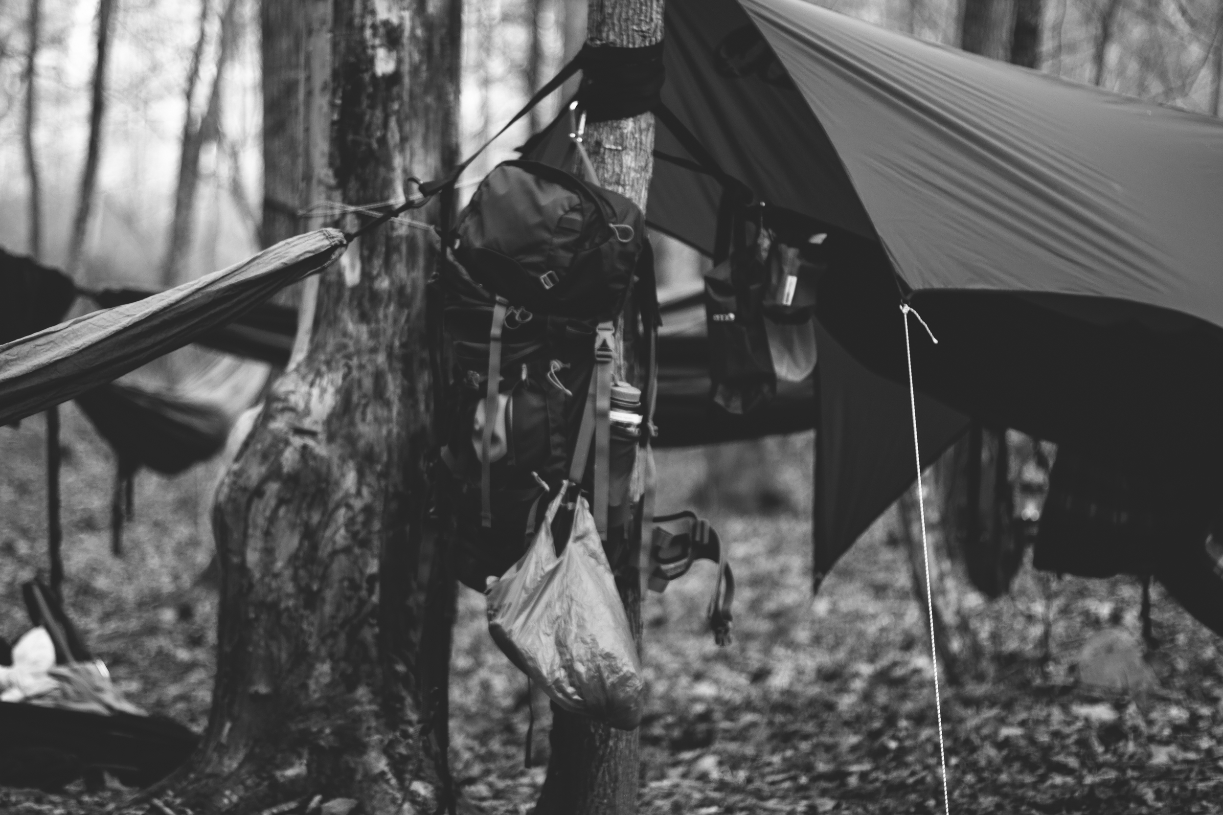 Camping-2.jpg