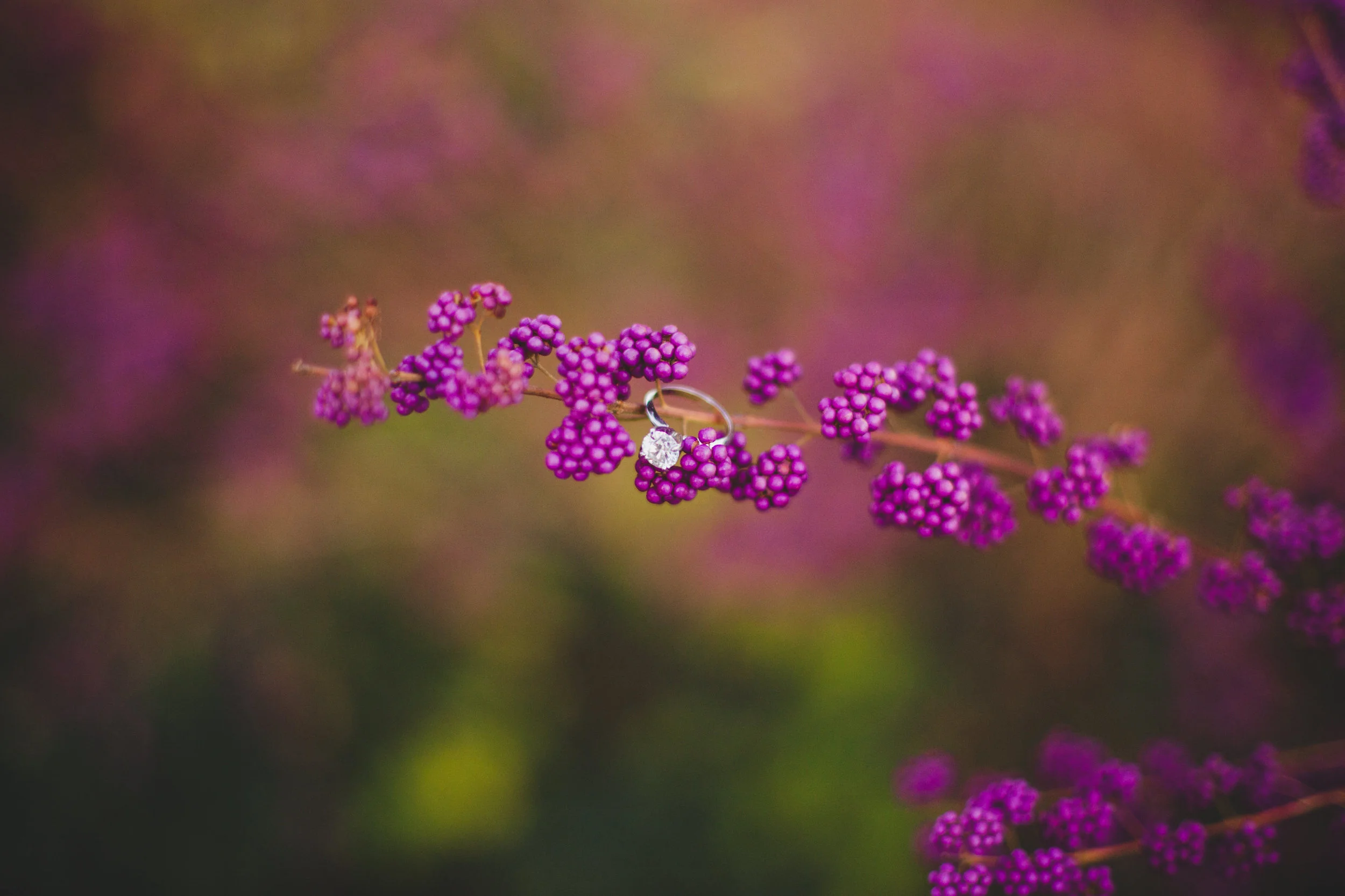 Camry and Jordan :: Engaged