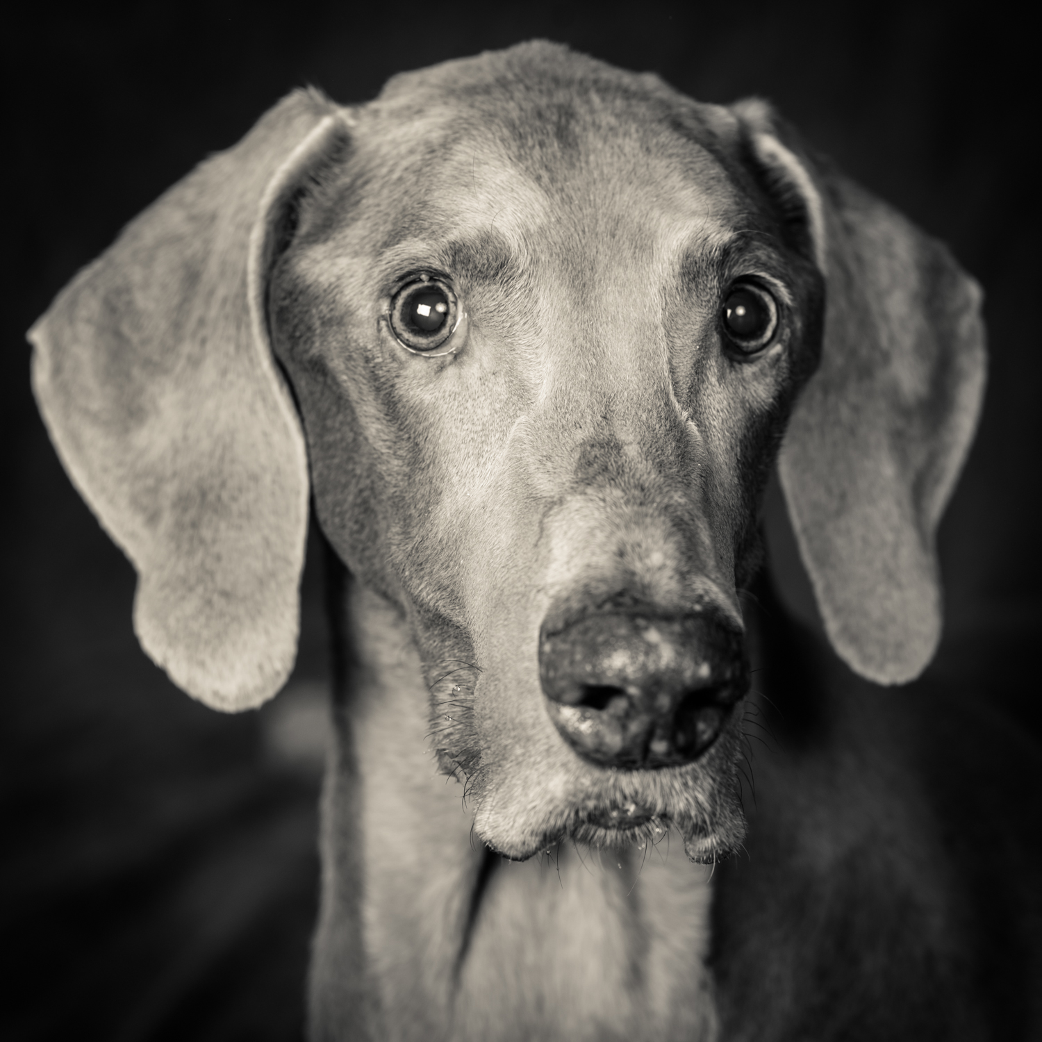 DSC_9123.jpg