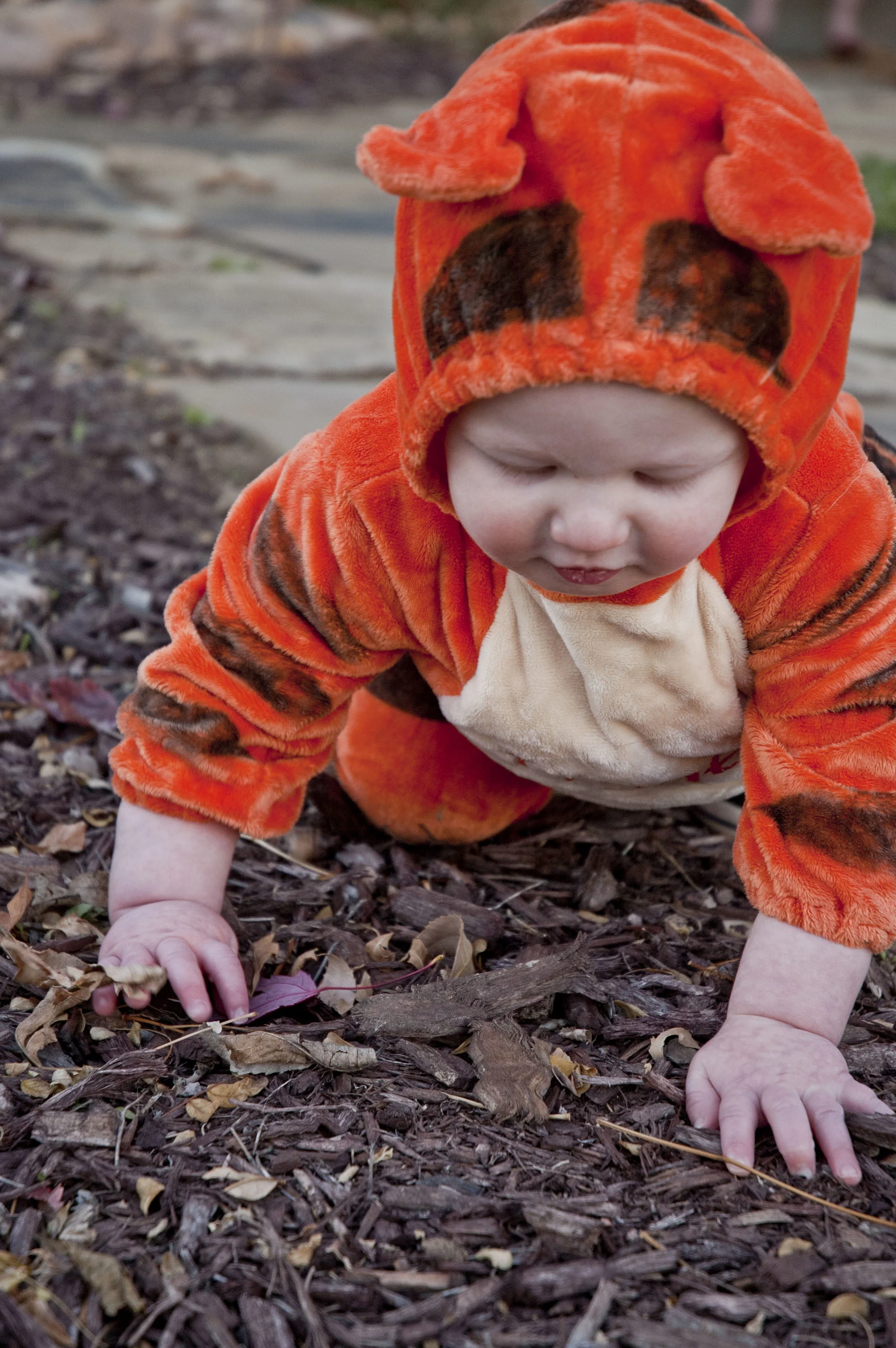 Sam Crouching_Tigger.jpg