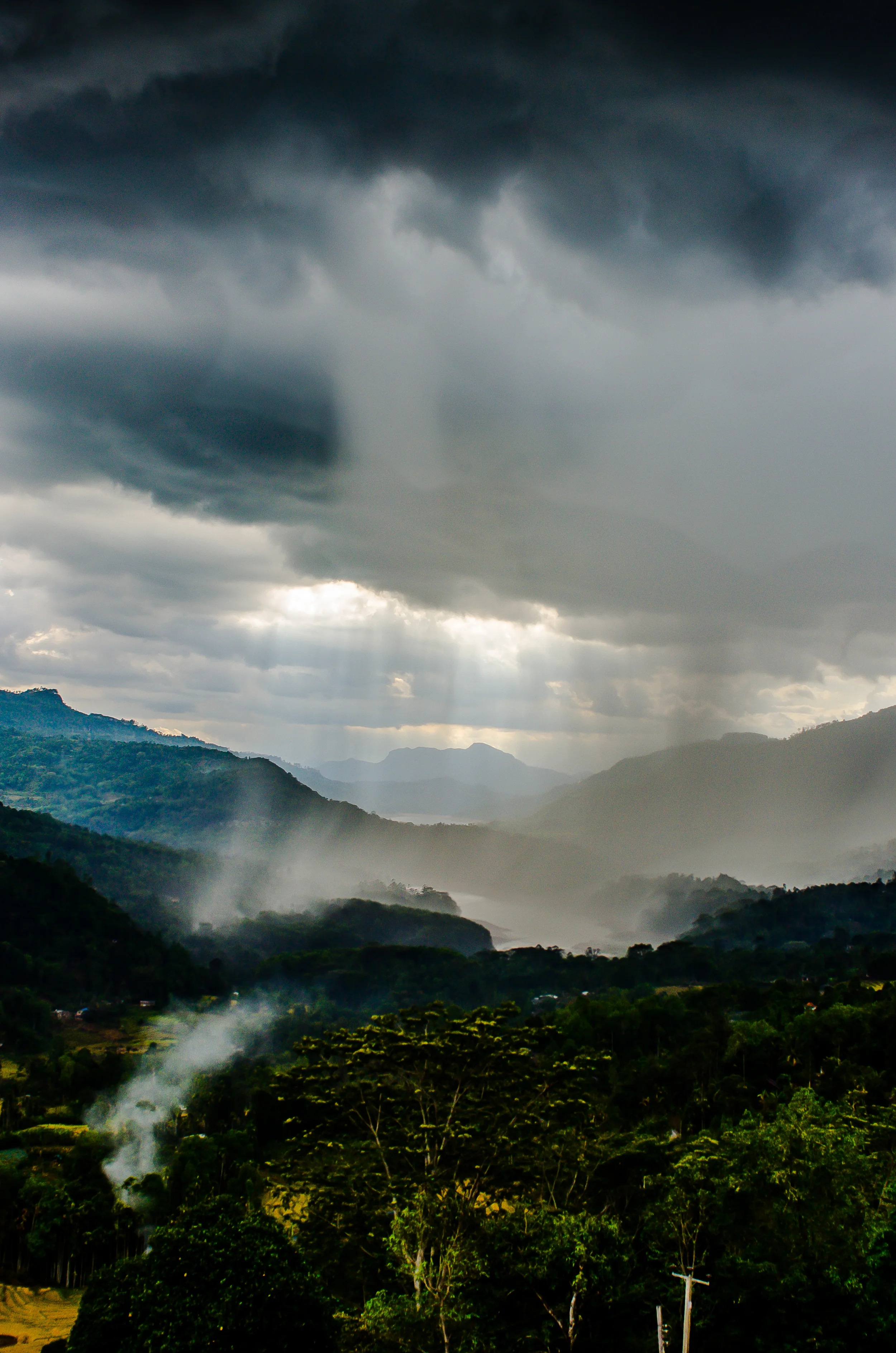 DSC_7114-1.jpg