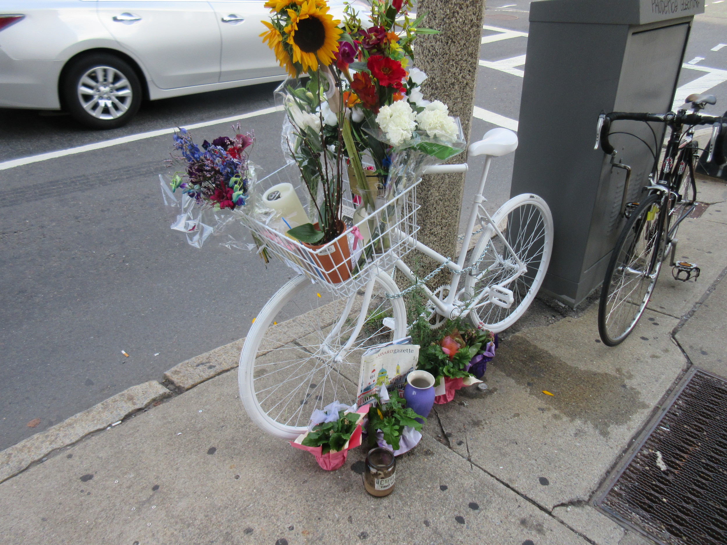  The Ghost Bike with my bike next to it.&nbsp; 