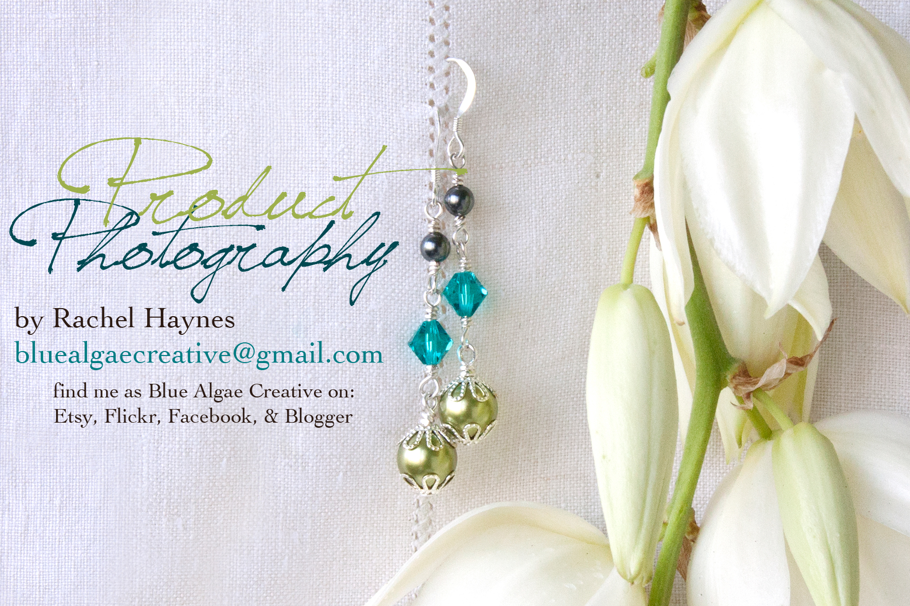 PP Postcard 1b.jpg