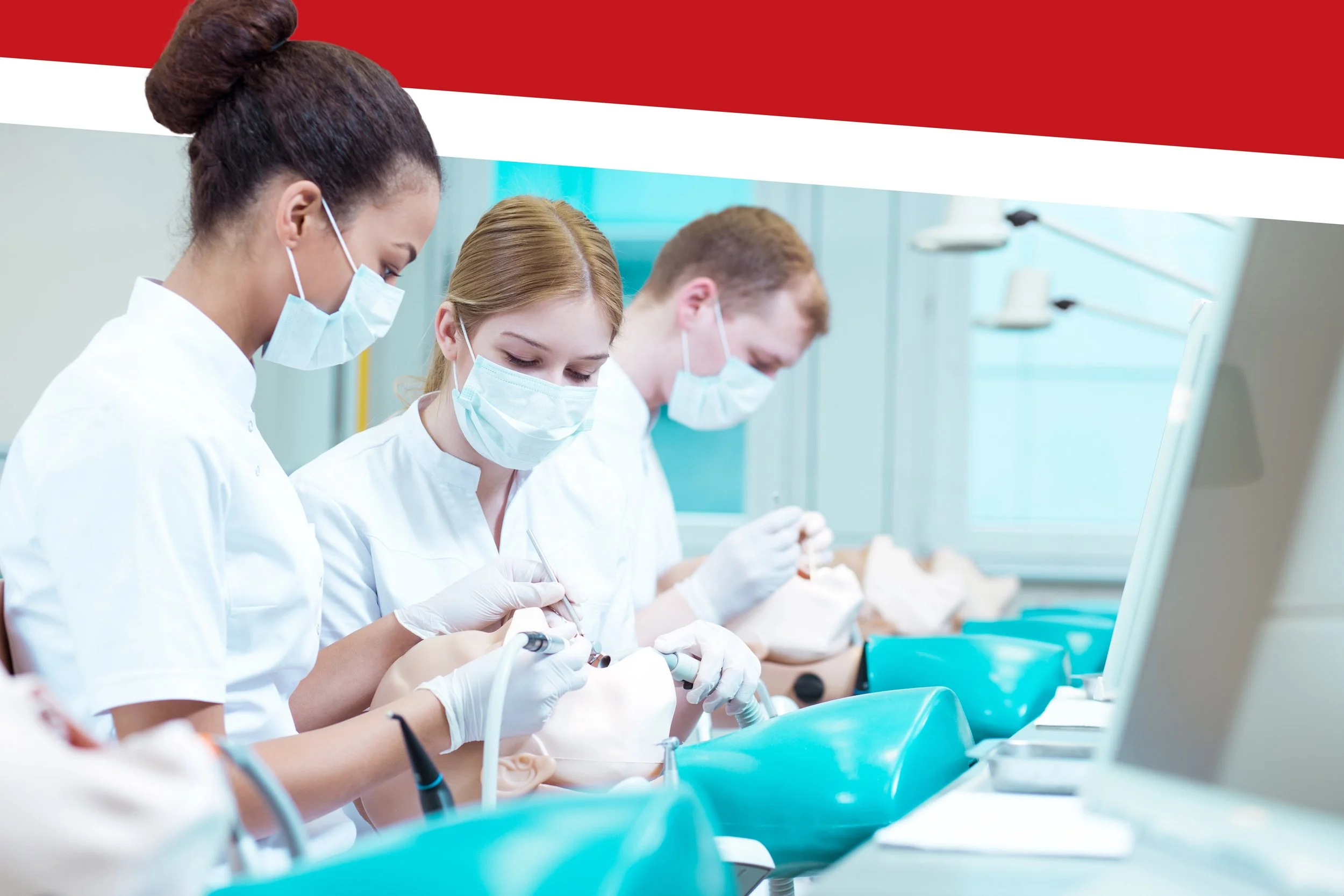 Ivy League Dental Schools: How to Get In