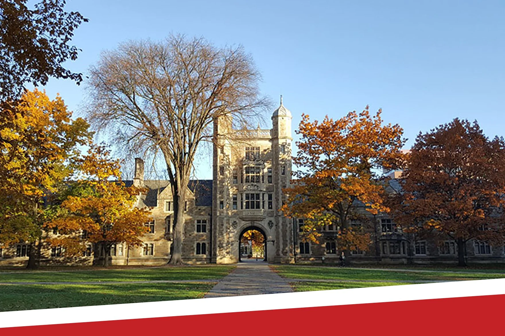 Ivy League Acceptance Rates 2025: What You're Up Against