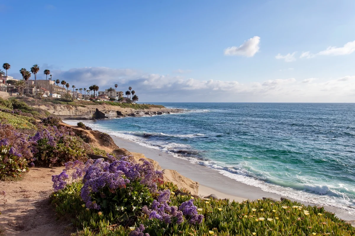Coast of California, home to many medical schools