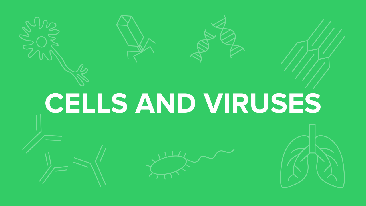 cells and viruses for the mcat