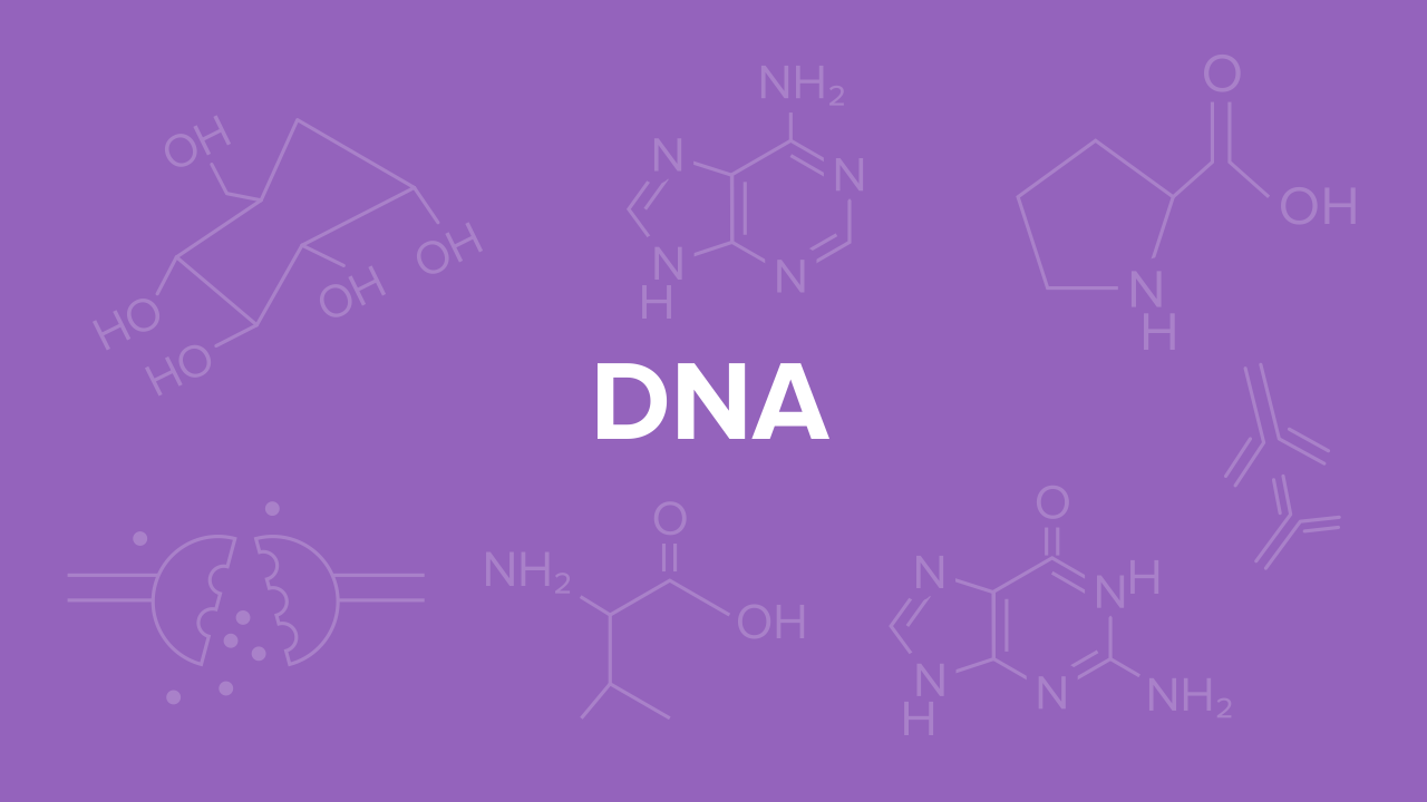 dna for the mcat everything you need