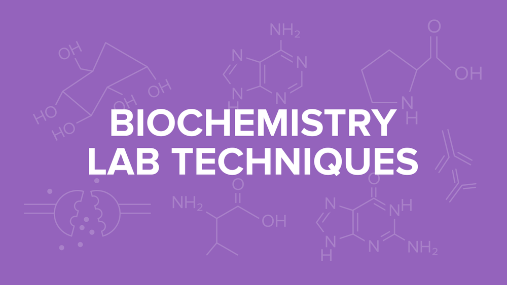 Biochemistry Lab Techniques for the MCAT Everything You Need to Know
