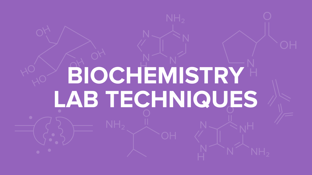 Biochemistry Lab Techniques for the MCAT: Everything You Need to Know