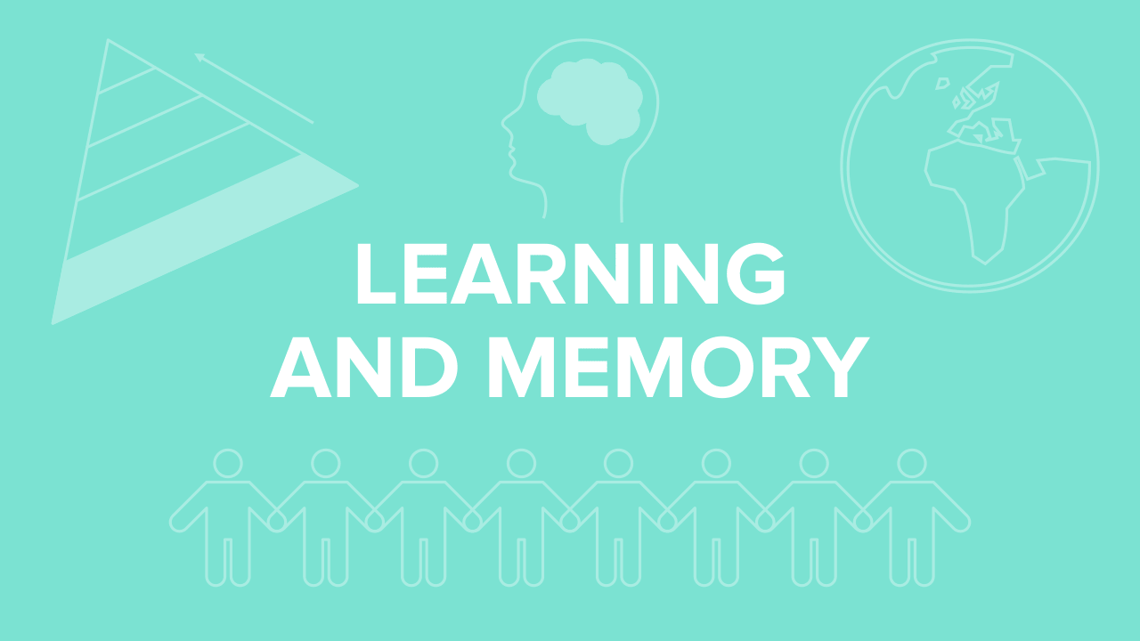 Learning and Memory for the MCAT: Everything You Need to Know