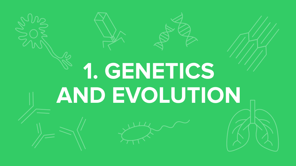 mcat-genetics-evolution.png