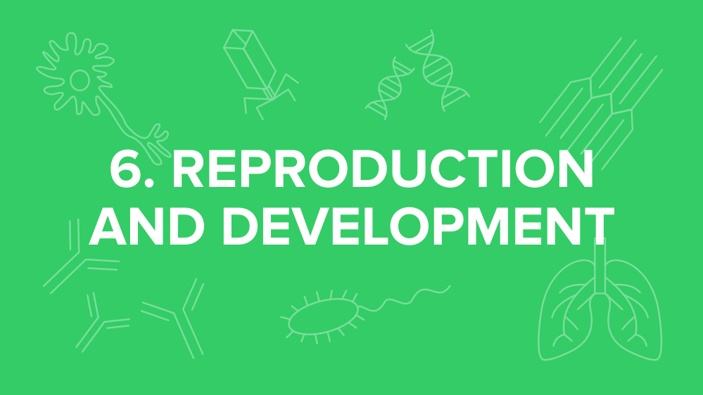 mcat-reproduction-development.png