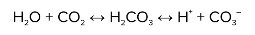 图:碳酸氢盐缓冲系统。