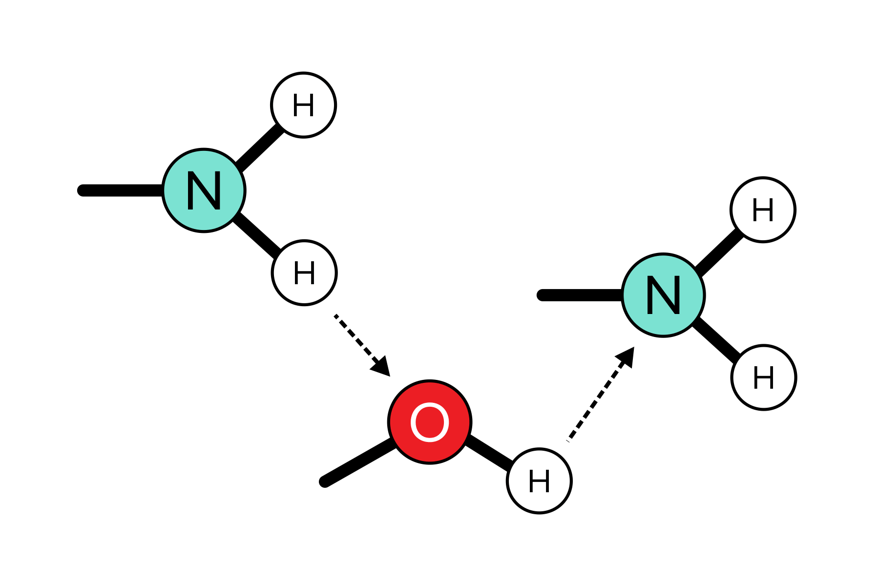 图:不同分子上官能团之间的氢键。
