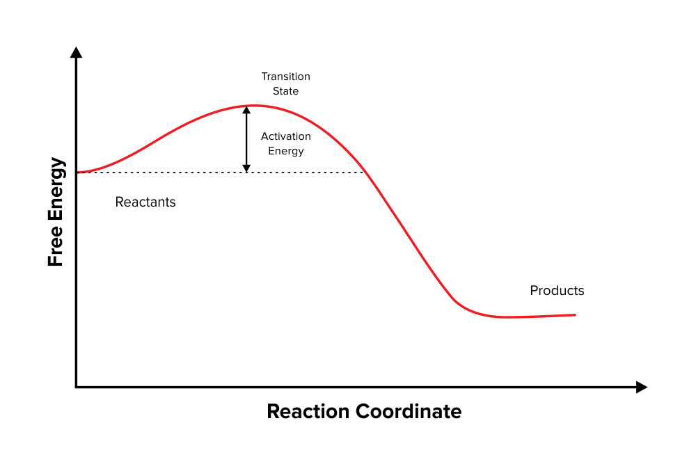 图:反应坐标图。y轴表示吉布斯自由能的变化(ΔG)。