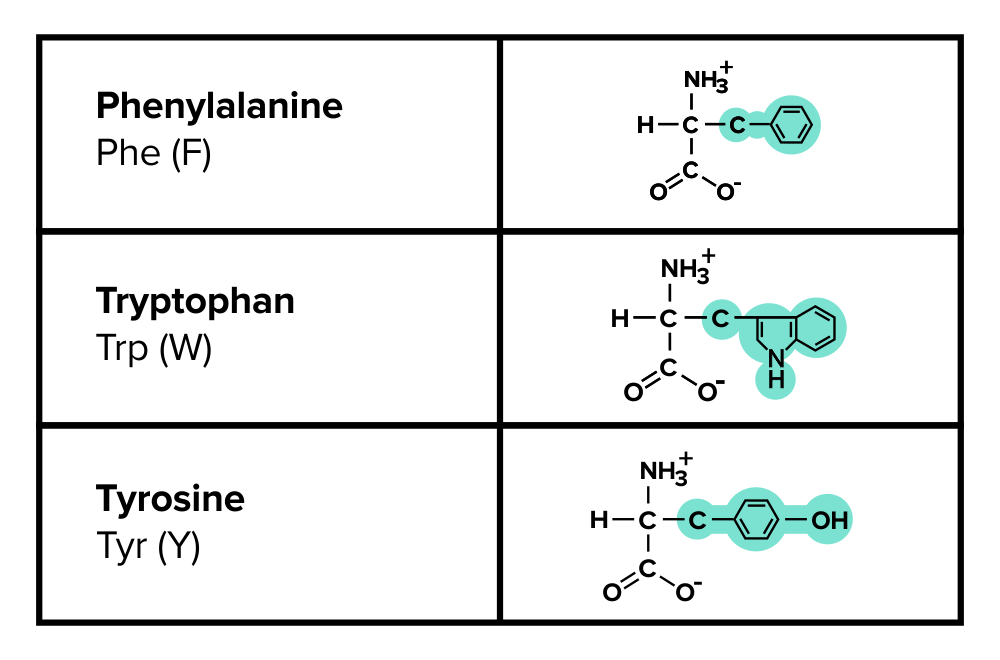 Important Functional Groups for the MCAT Everything You Need to Know