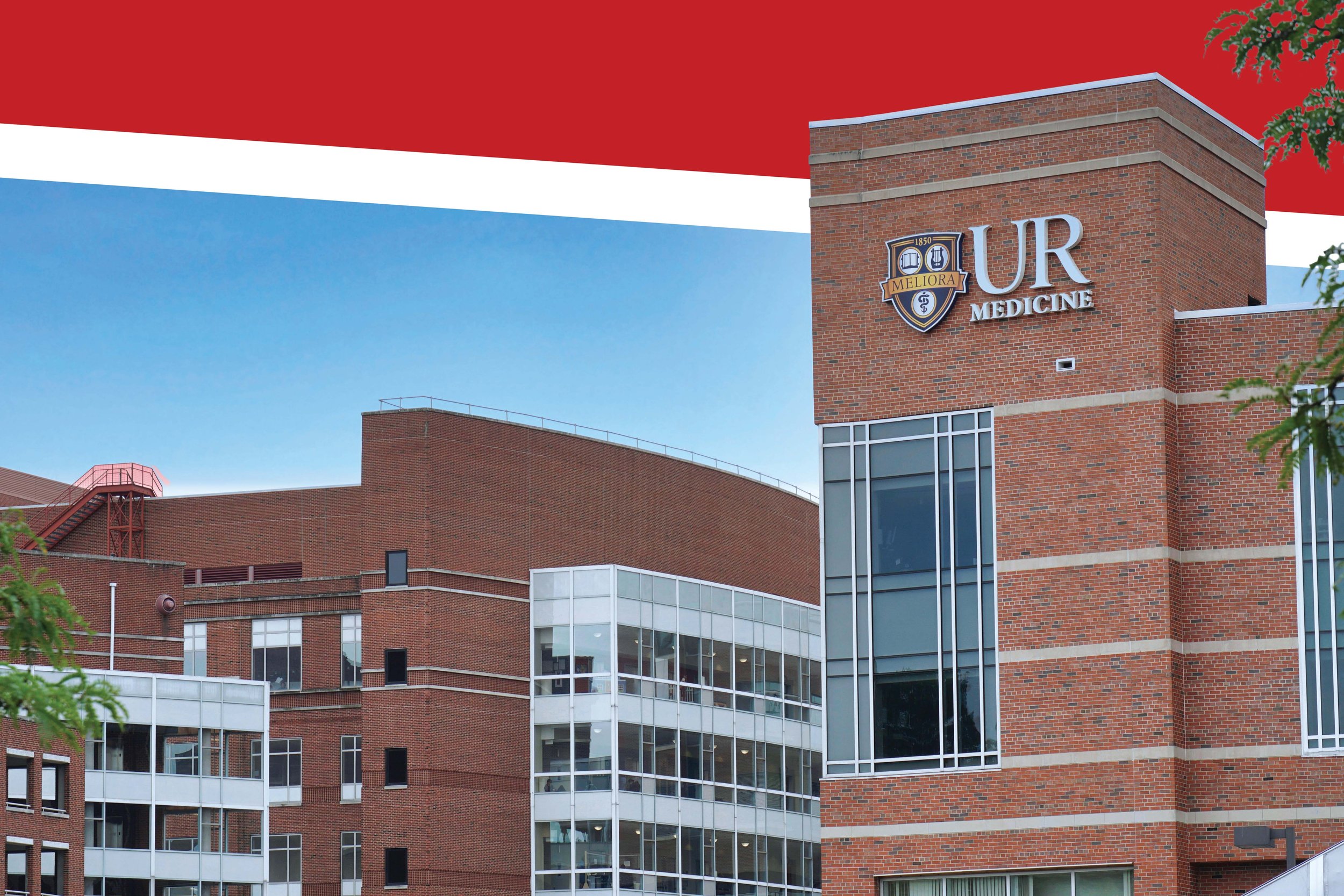 How to Succeed as a Rochester Premed