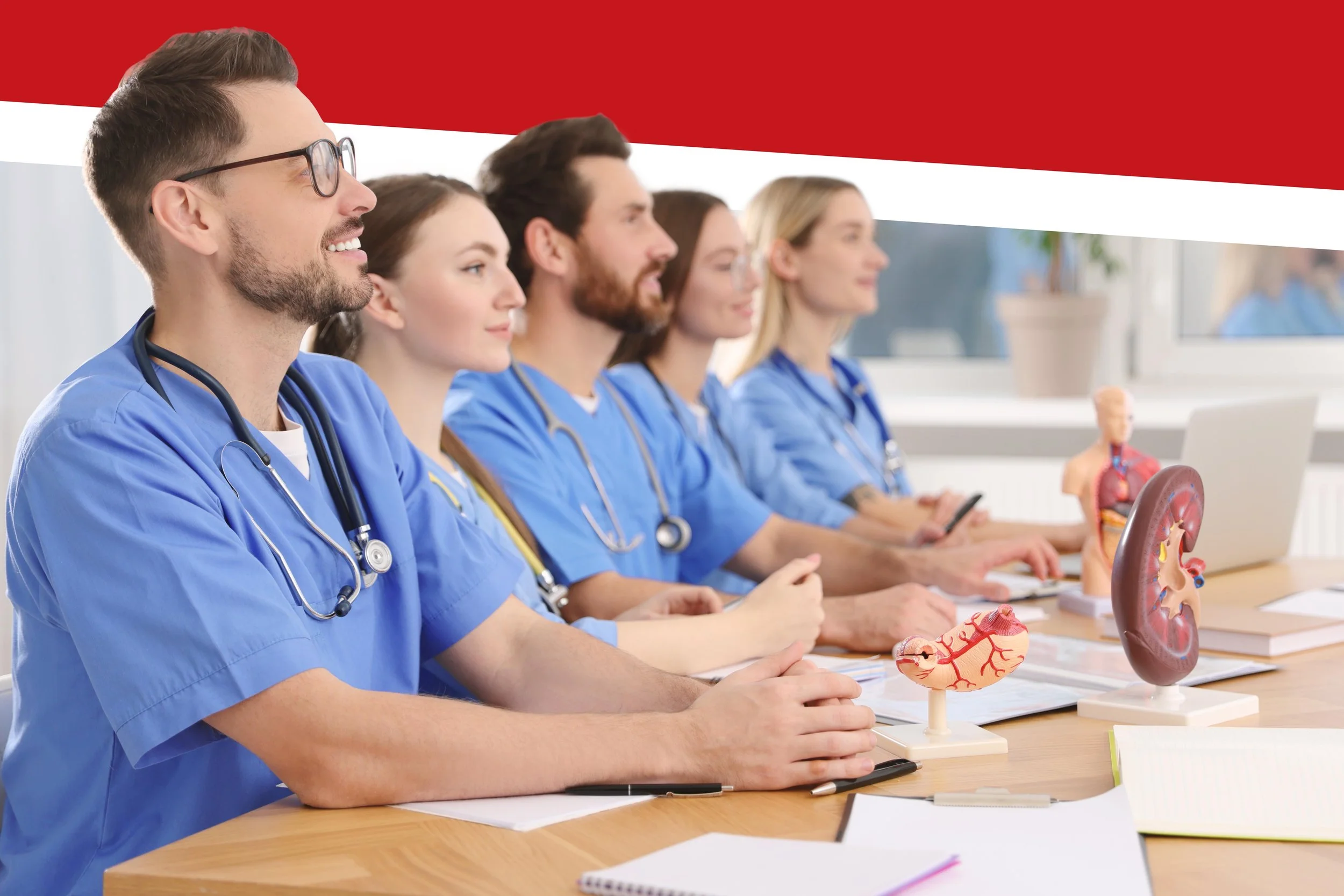 How to Succeed as an NYU Premed 