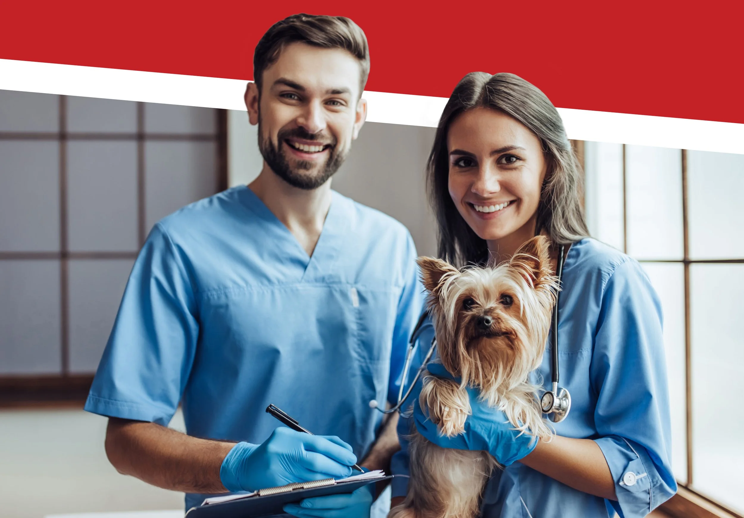 Vet School Requirements: The Ultimate Guide