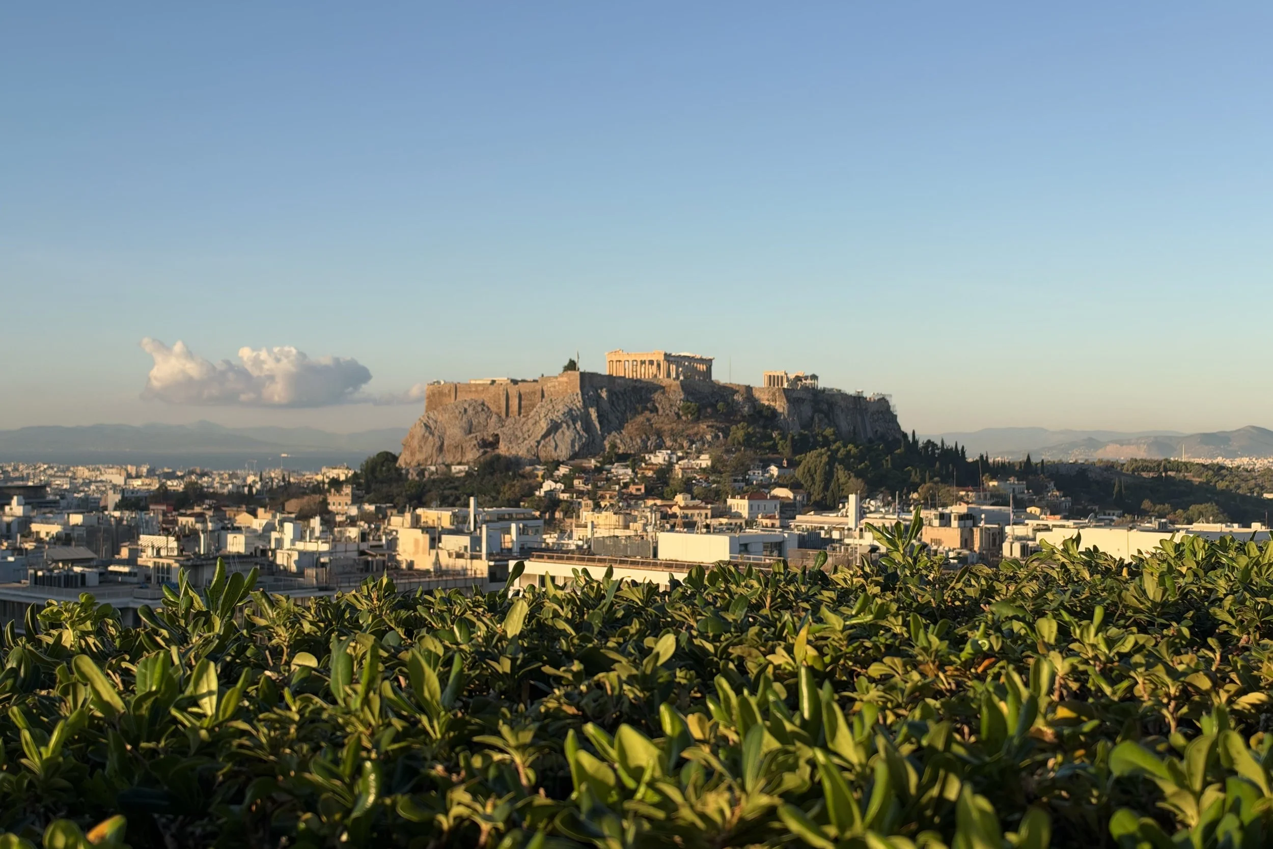 Global Medical Brigades Greece: Premed & Predental Guide — Shemmassian ...