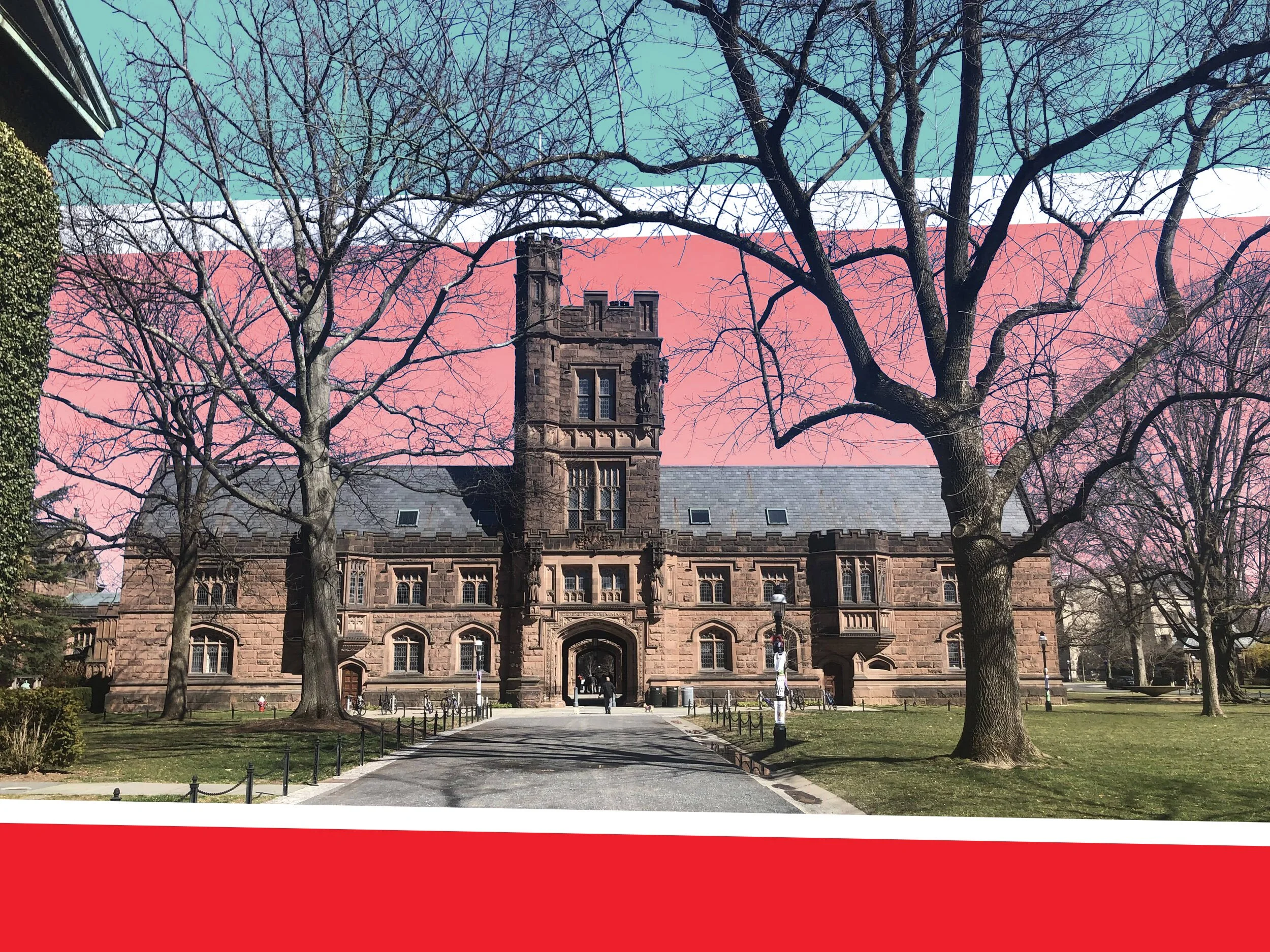 How to Get Into Princeton Essays and Strategies That Worked
