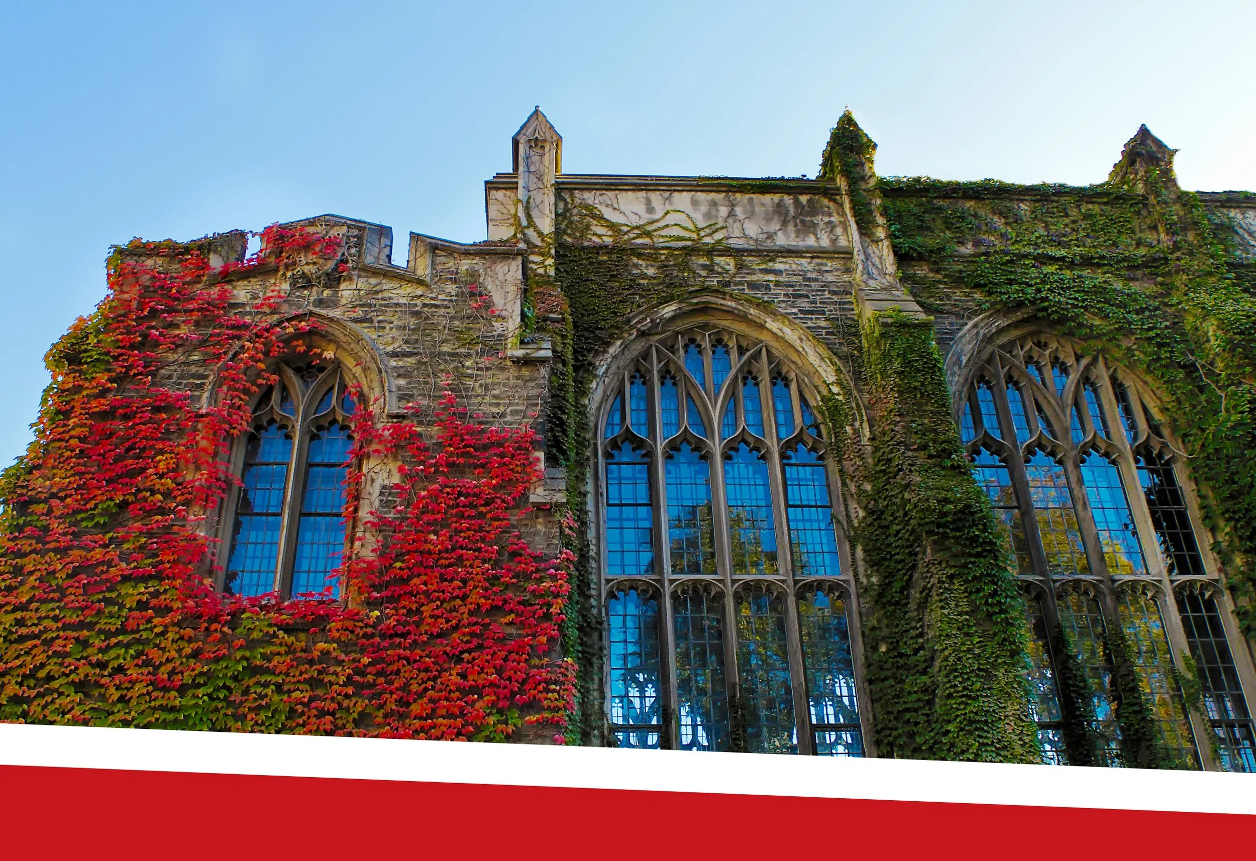 What is a Public Ivy? Complete 2026 Guide &amp; School Rankings 