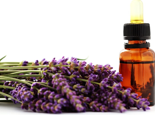 Lavender Oil picture.png