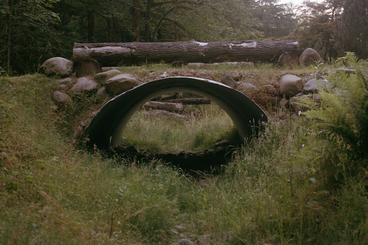 cedars creek tunnel.jpg
