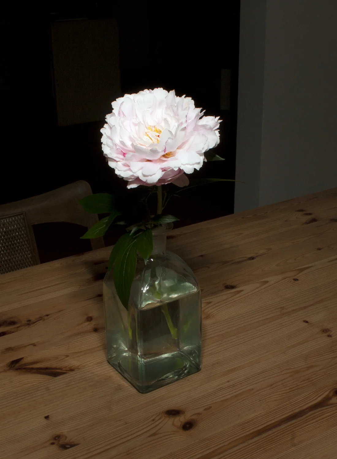 peony_vertical.jpg