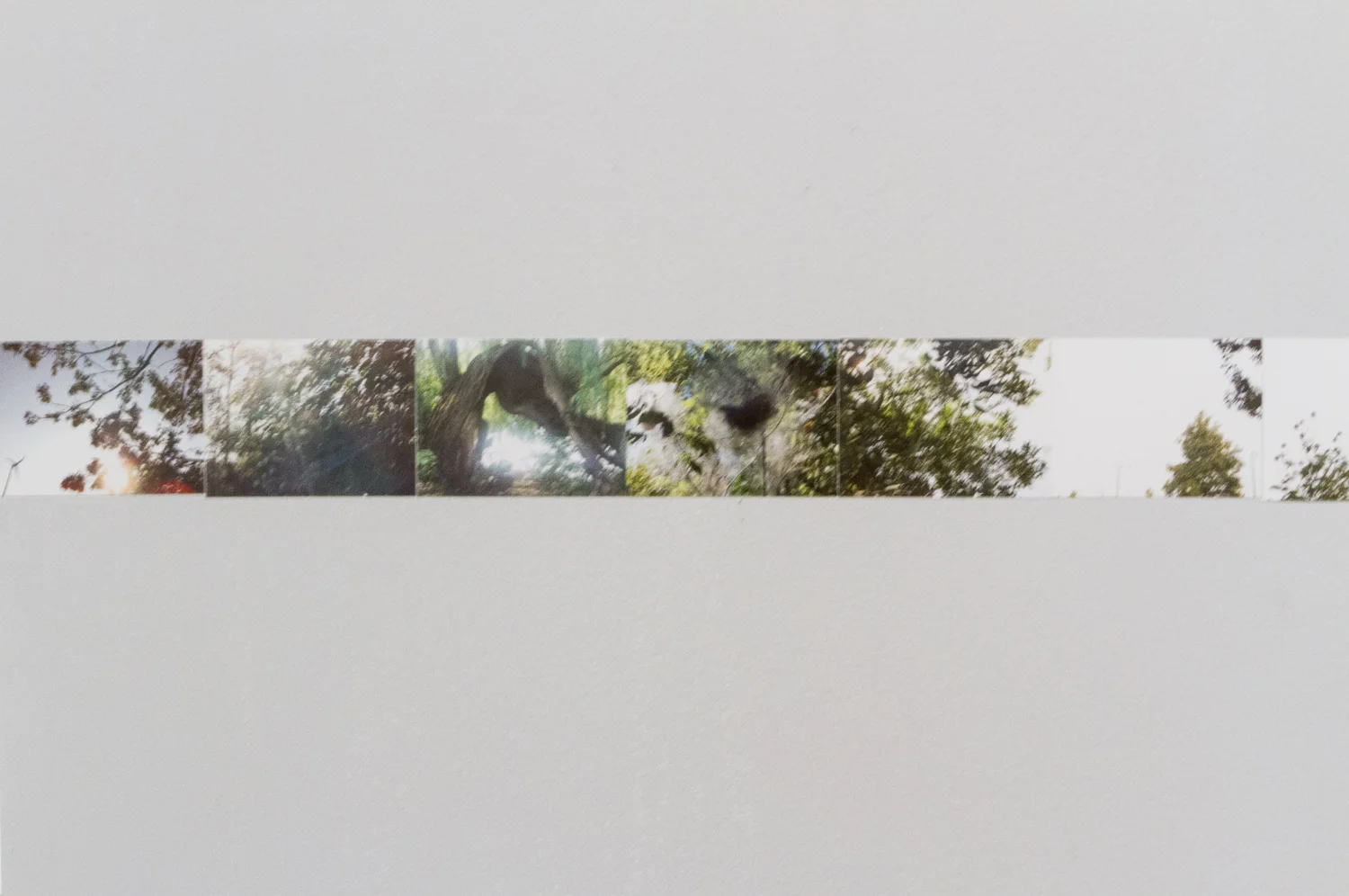 affinities-100.jpg