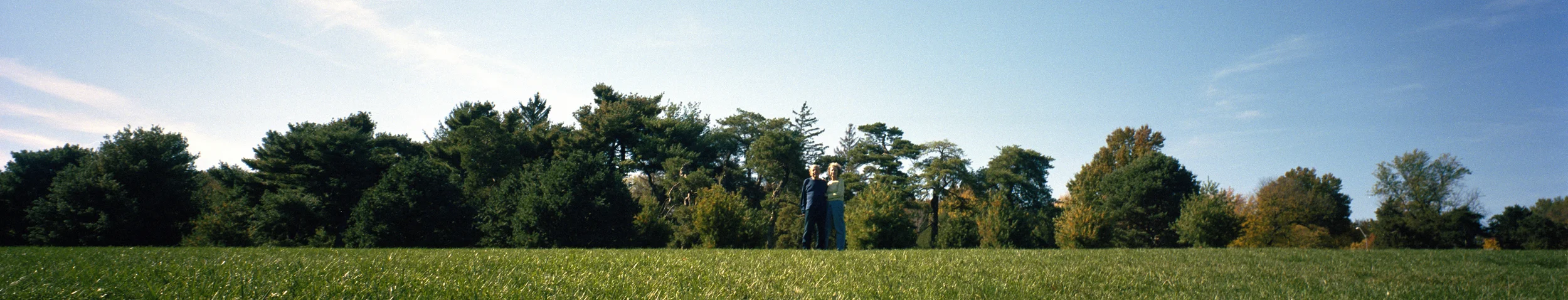 happy together slice flat.jpg